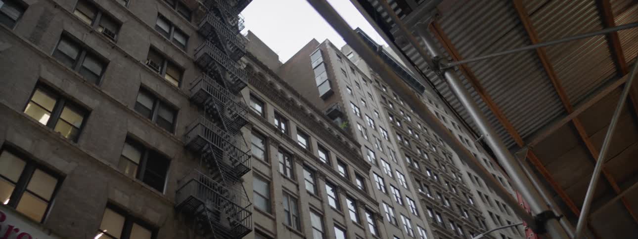 New York City Scenics