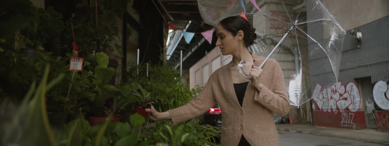 Shop with plants at a market