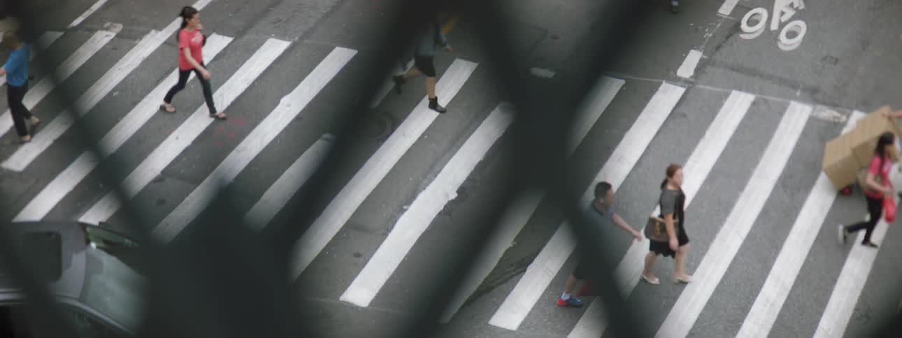 New York City Scenics