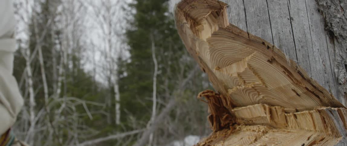 People In Northern Wilderness