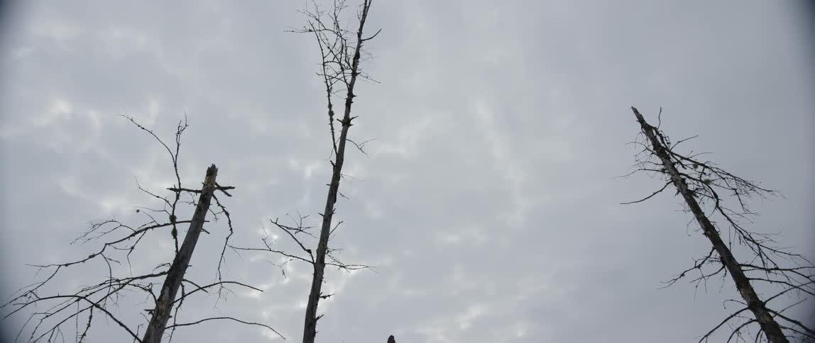 People In Northern Wilderness