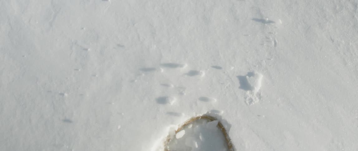People In Northern Wilderness