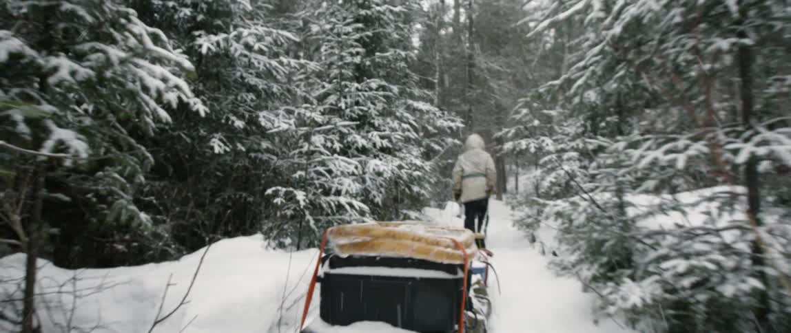 People In Northern Wilderness