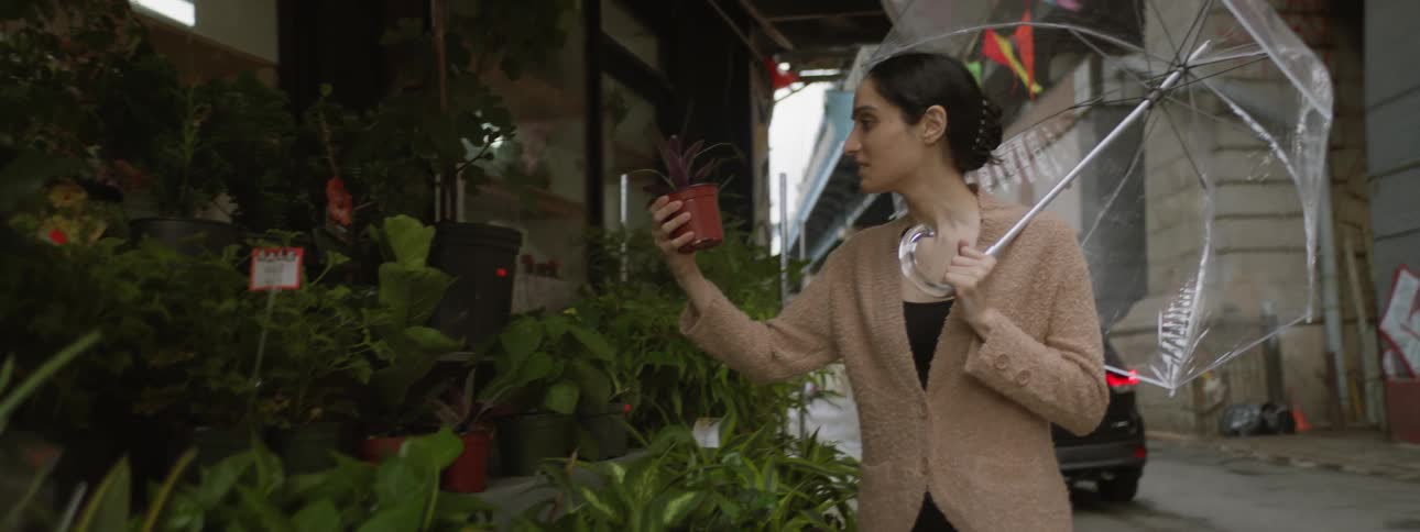 Woman holding umbrella while looking at plant