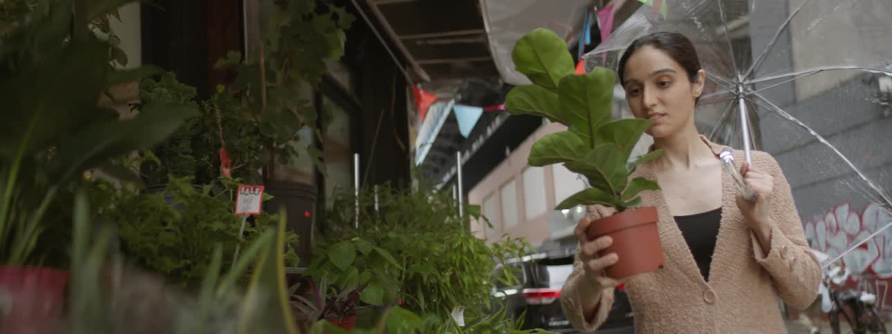 Middle eastern woman picks up plant at market