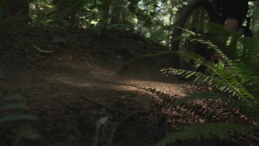 Man Mountain Biking In Forest