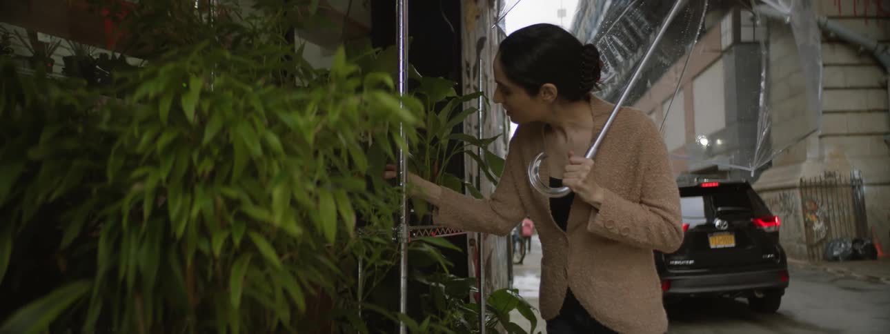 Middle eastern woman looking at plants