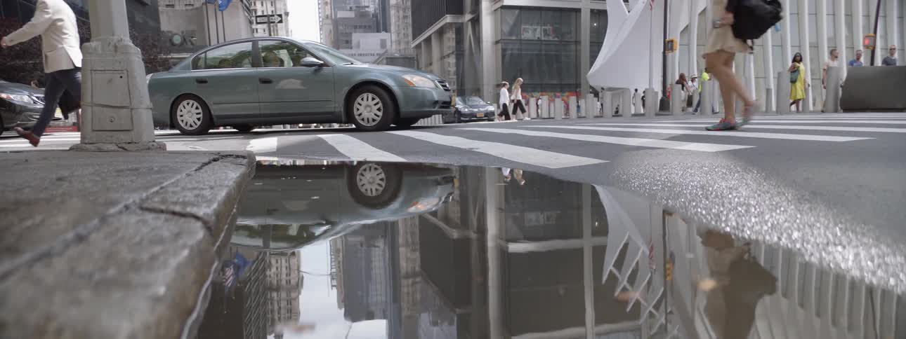 New York City Scenics