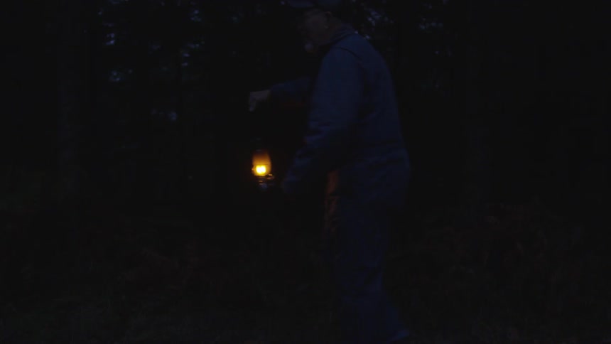 Man Reading Bible In Forest