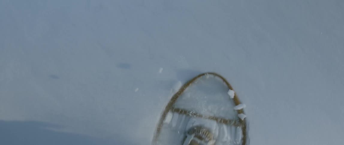 People In Northern Wilderness