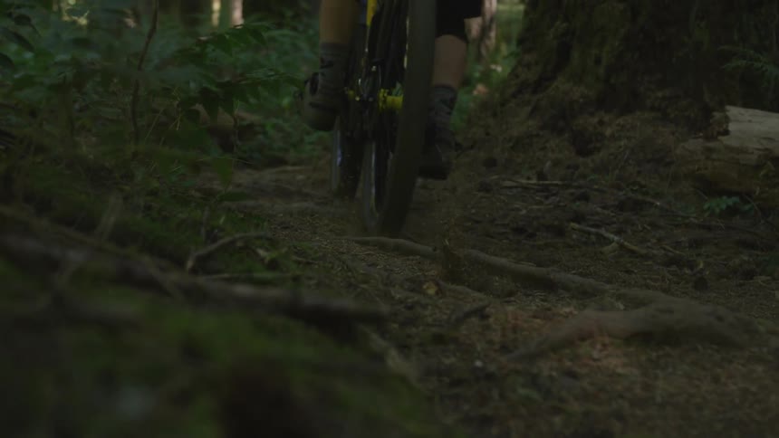 Man Mountain Biking In Forest