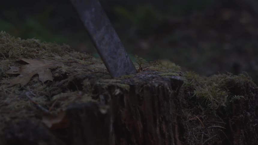 Man In Forest With Weapons