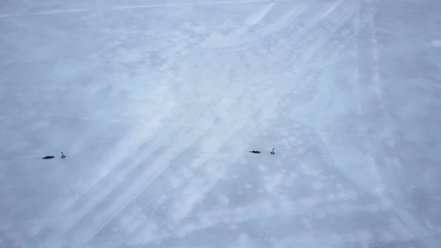 People In Northern Wilderness