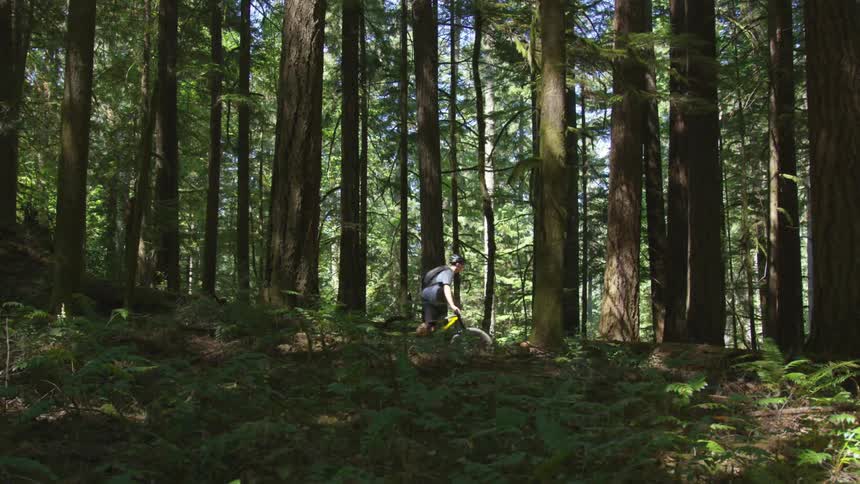 Man Mountain Biking In Forest