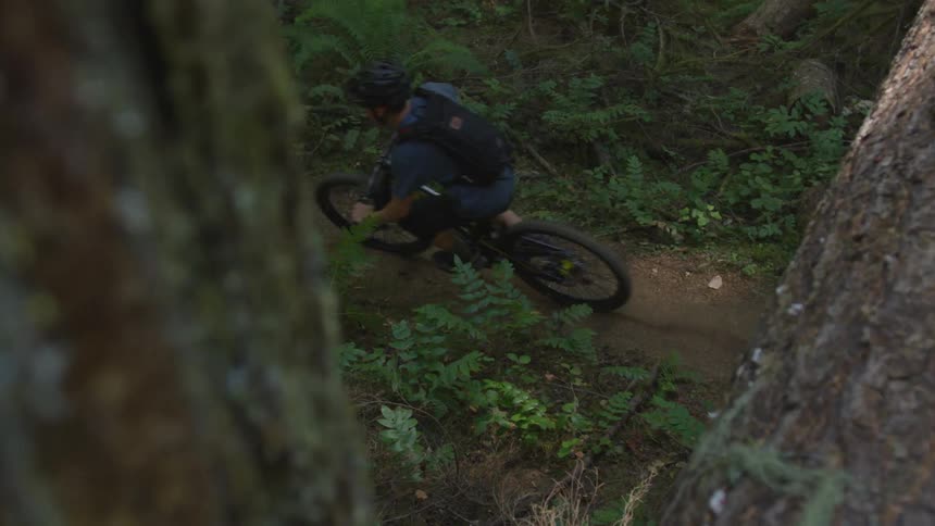 Man Mountain Biking In Forest