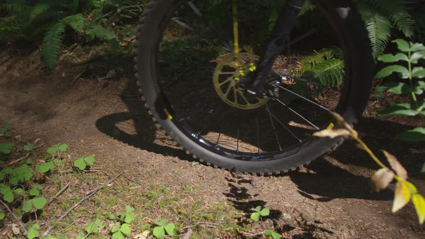 Man Mountain Biking In Forest