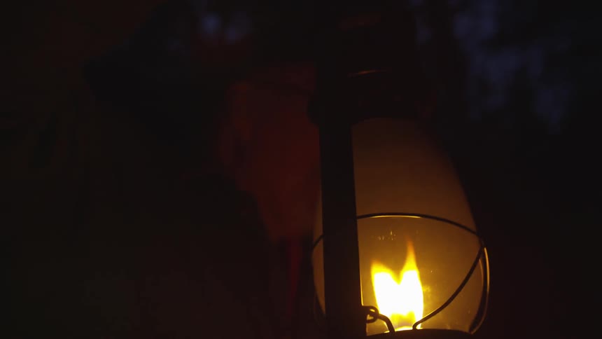 Man Reading Bible In Forest