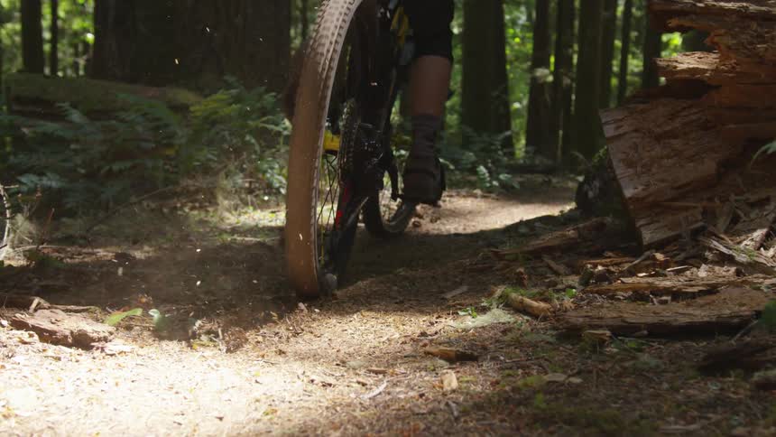 Man Mountain Biking In Forest