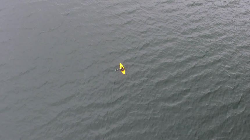 Man Kayaking On Lake
