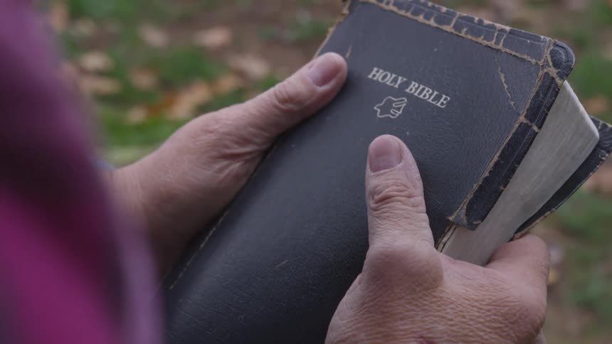Man Reading Bible In Forest