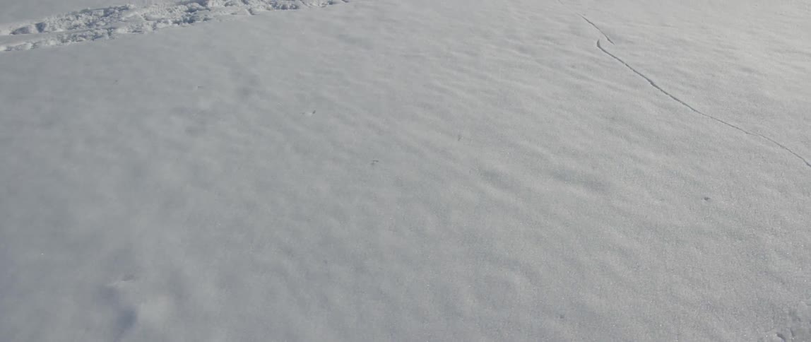 People In Northern Wilderness