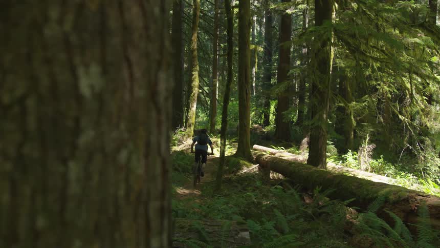 Man Mountain Biking In Forest