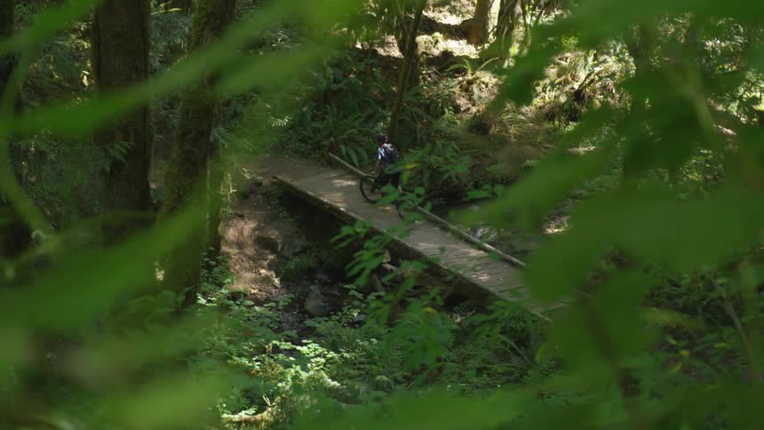 Man Mountain Biking In Forest