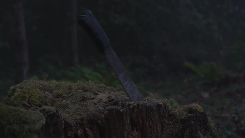 Man In Forest With Weapons