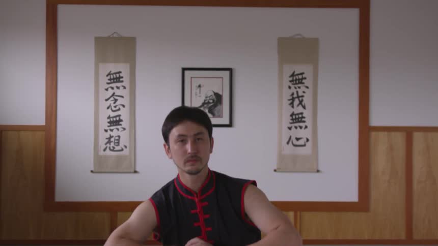 Man Practicing Asian Fighting Techniques