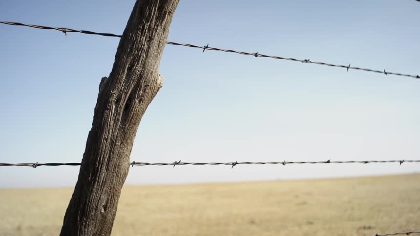 Barbed wire fence lines a large field on a sunny day
