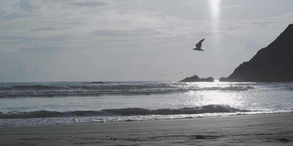Water waves crashing into a beach