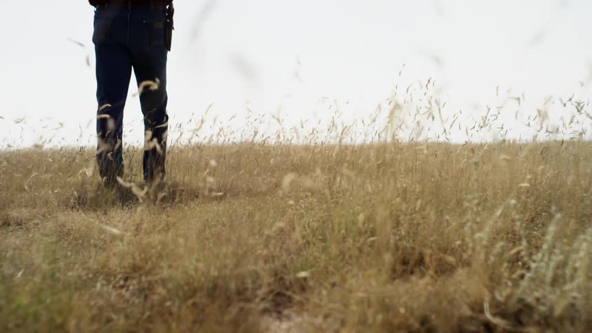 Person walking through a field of tall grass in the day time