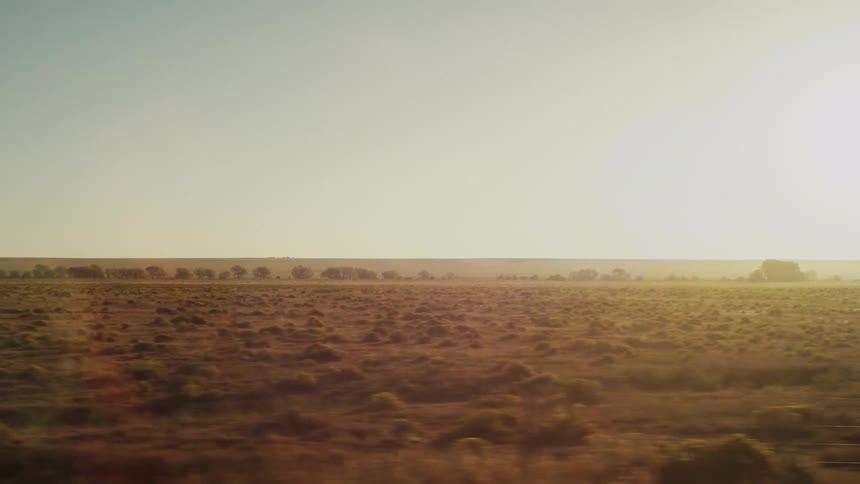 A view from inside a vehicle as it passes a dry grassy plain