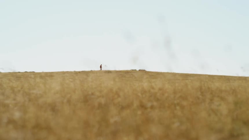 Man walking in a wheat field on a sunny day