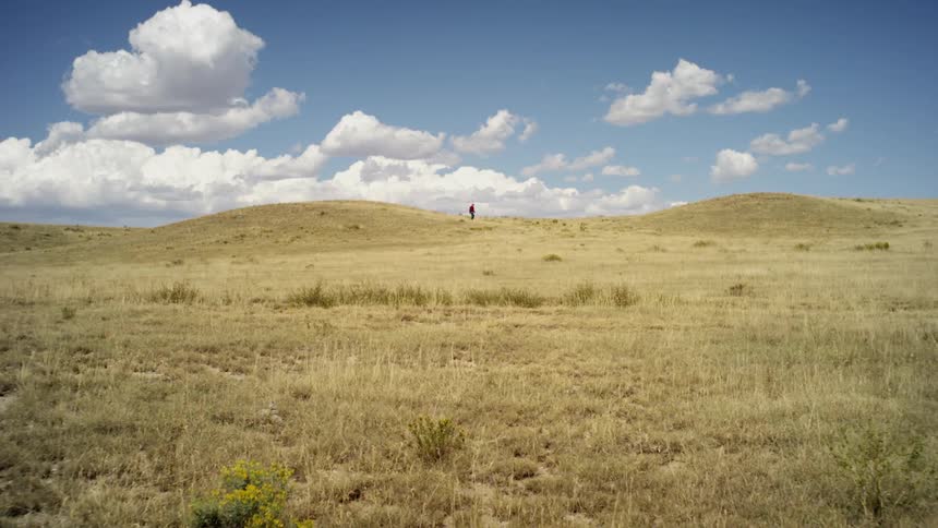 A person walking on top of a grassy hill in the distance