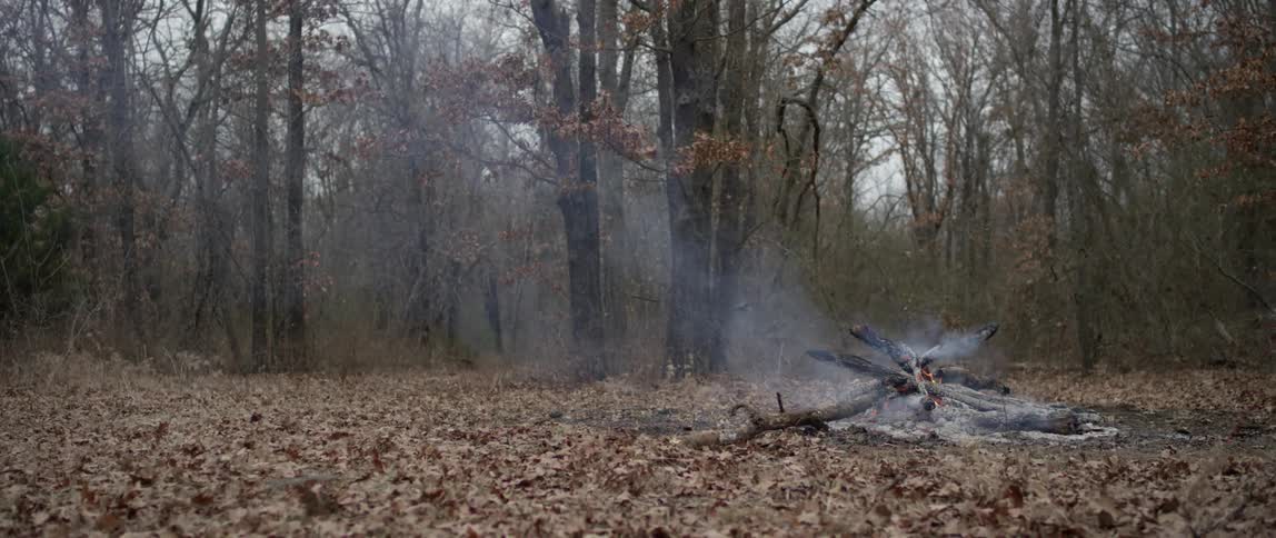 A stack of burning and smoking tree branches in the woods