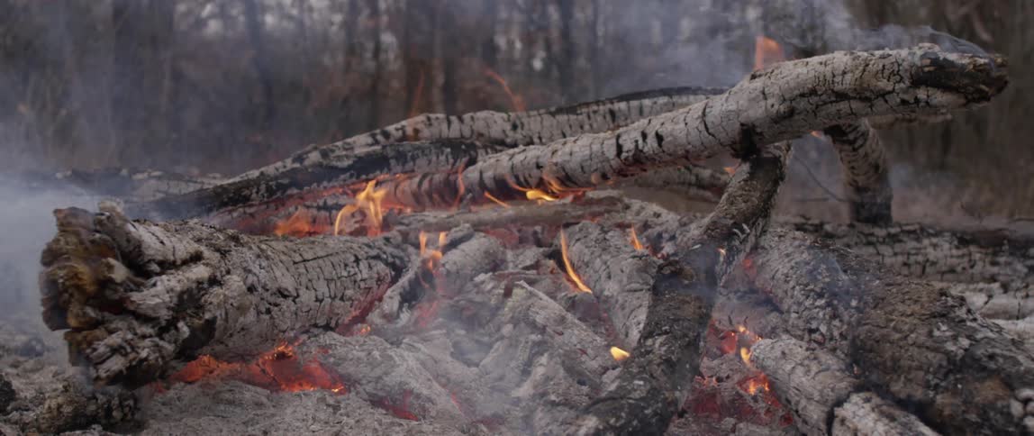 An outdoor fire burning logs and branches