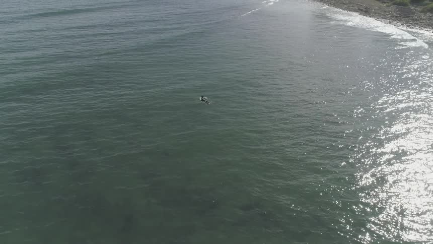 Man Surfing