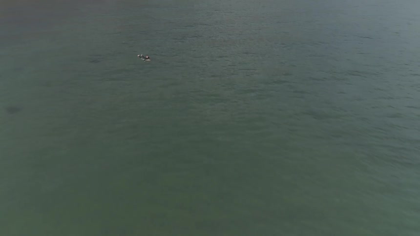 Man Surfing
