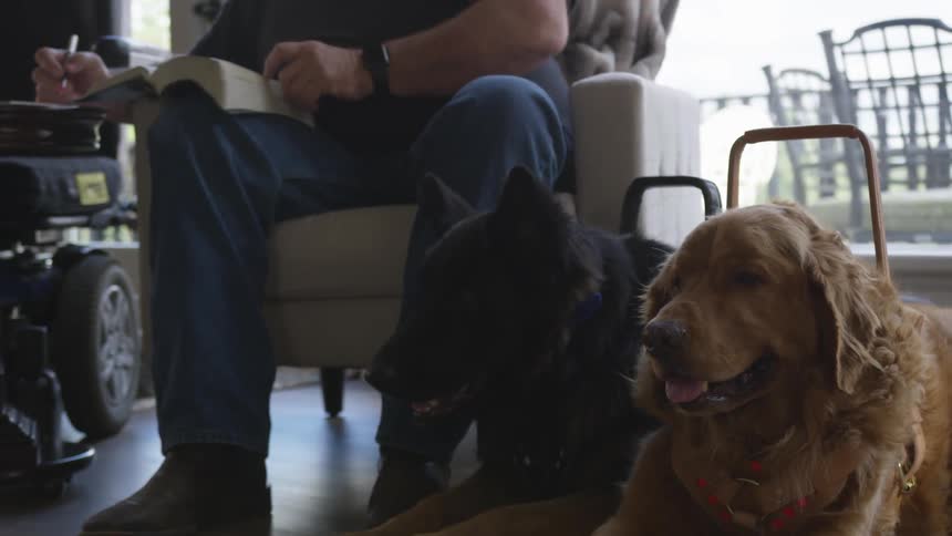 Man With Bible And Dogs