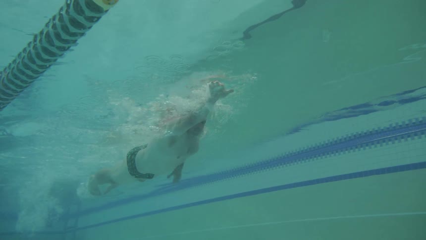 Man Swimming Laps In Indoor Pool