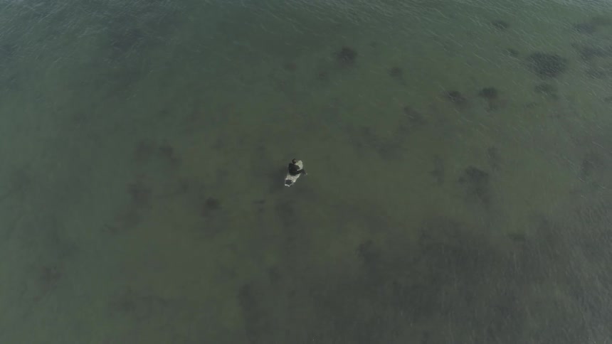 Man Surfing