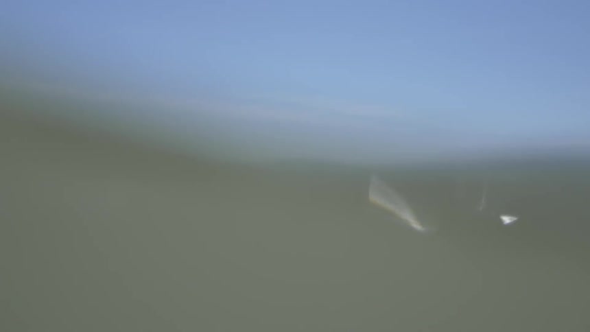 Man Surfing