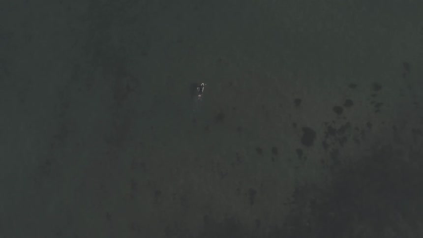 Man Surfing