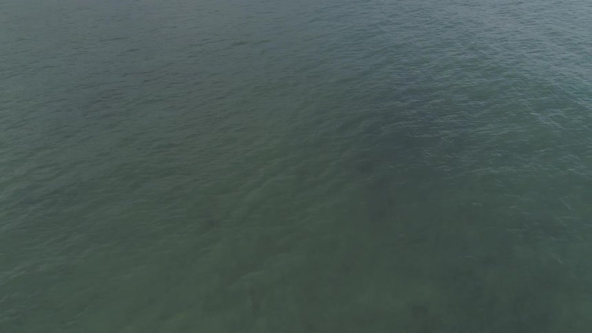 Man Surfing