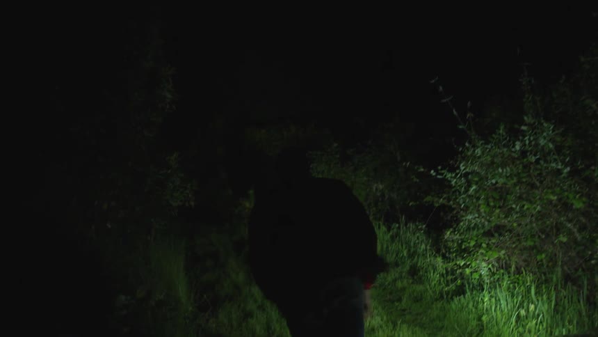 Men In Forest At Night