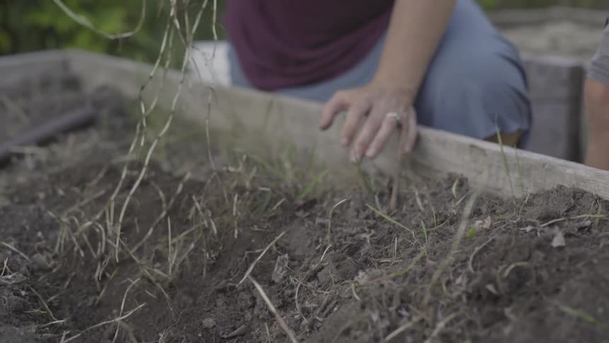 Mother And Son Gardening Together