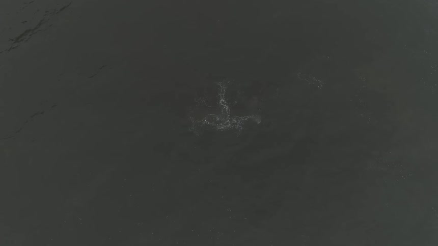 Overcast Coastline Scenics