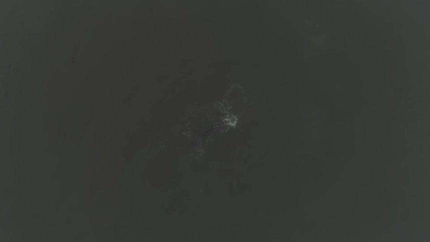 Overcast Coastline Scenics