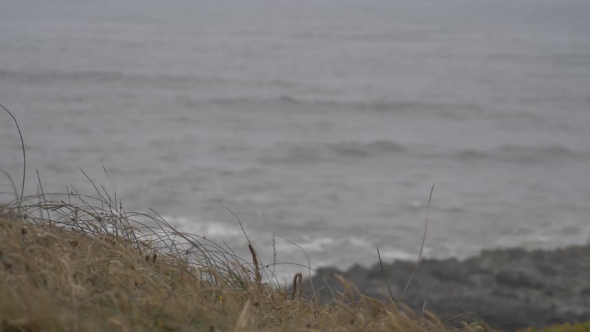 Overcast Coastline Scenics